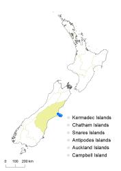 Tmesipteris horomaka distribution map based on databased records at AK, CHR and WELT.
 Image: K. Boardman © Landcare Research 2014 CC BY 3.0 NZ